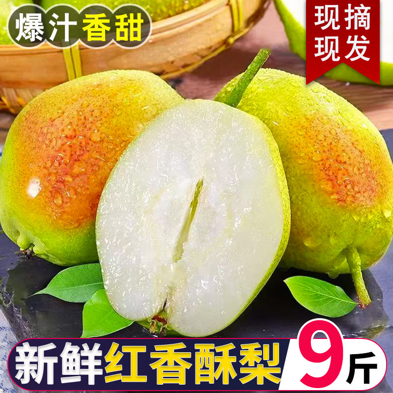 山西红香酥梨新鲜水果梨子当应季