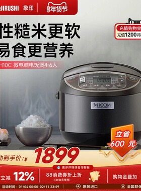 ZOJIRUSHI象印日本原装进口微电脑家用电饭煲GAH10C 3L适用4-6人