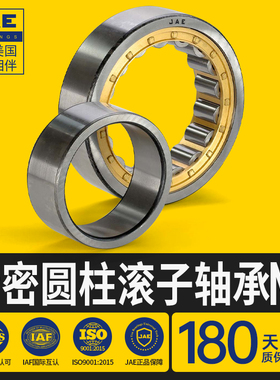 JAE圆柱滚子轴承NU210 211 212 213 214 215 216 217 218 ECP ECM