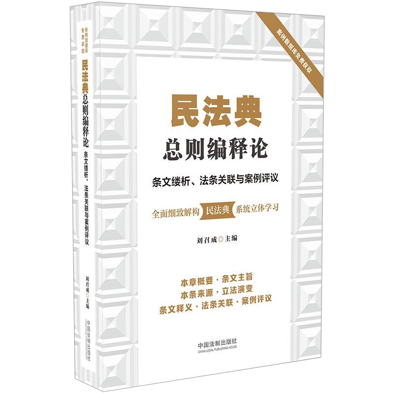 民法典总则编释论：条文缕析、法条关联与案例评议