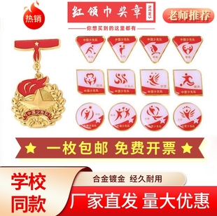 一星章少先队红领巾奖章星级章礼盒套装立体集体章特色争章基础章