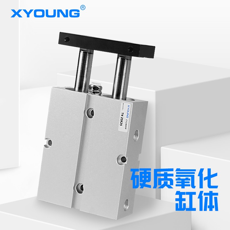 双杆双轴TDA气缸TN10X10/20/30/40/50/60/75/100/125(亚德客型)