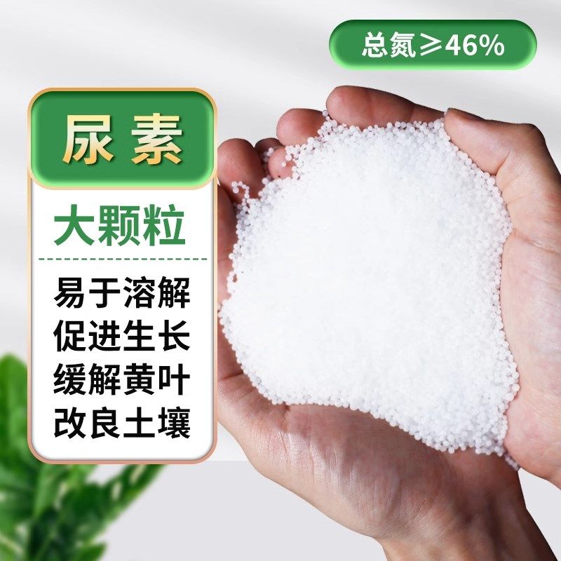尿素肥料蔬菜肥化肥种菜种花农用氮肥蔬菜果树植物通用型