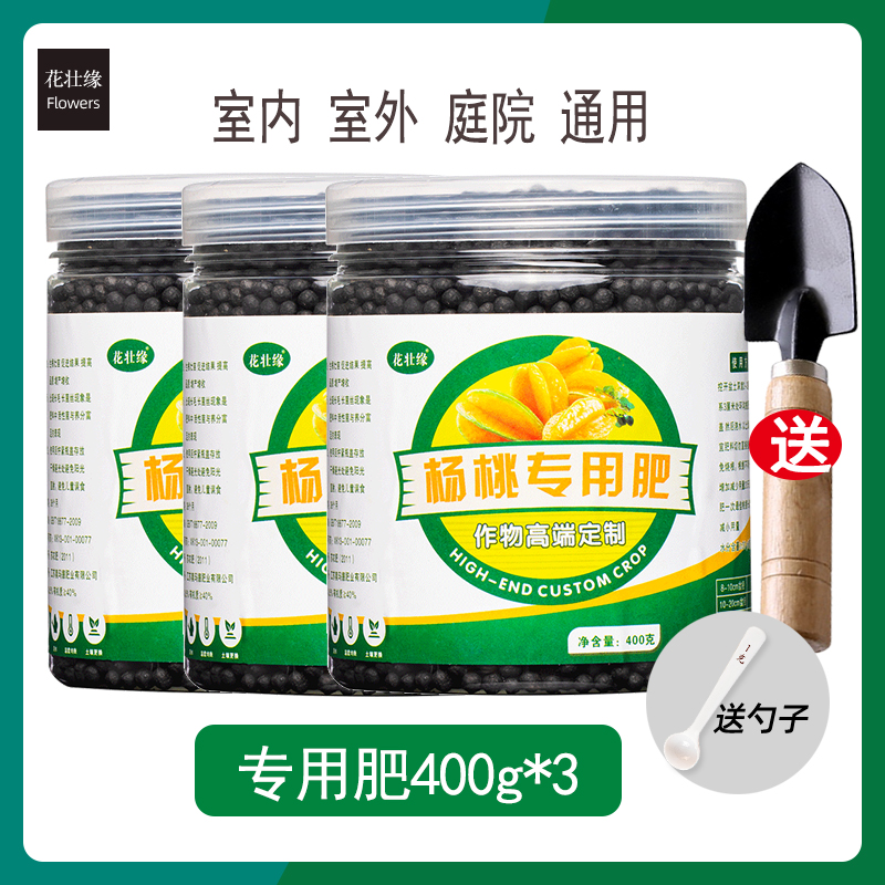 杨桃树肥料e肥营养液杨桃肥阳桃地栽果树化肥促开花增甜有机肥