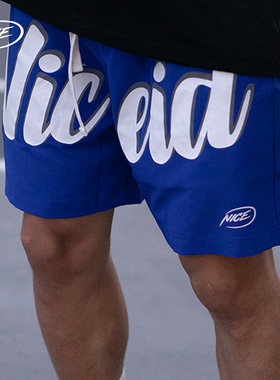 NICEID 美式篮球运动短裤 速干五分裤训练跑步透气休闲男官方正品