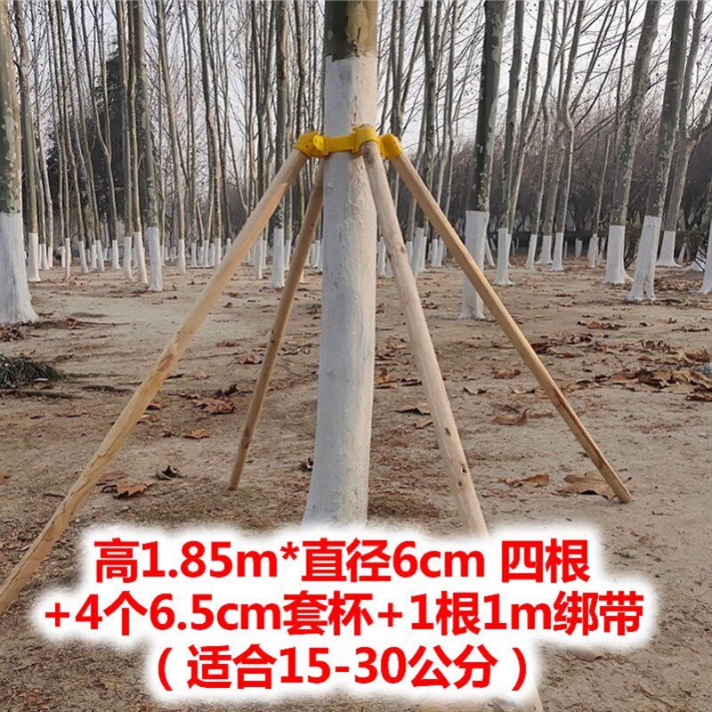 新品绿化苗木三角支架树木支撑架乔木支撑杆园q风防林固定器园树
