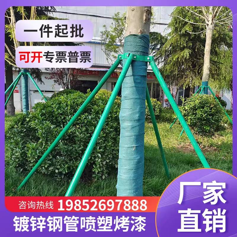 树木支撑架钢管固定器绿色大树支撑杆乔木防风抱箍园林金属树支撑