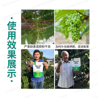 品农资绿陇磷酸二氢钾花肥料盆栽通用蔬菜水溶膨果叶面肥磷钾肥促