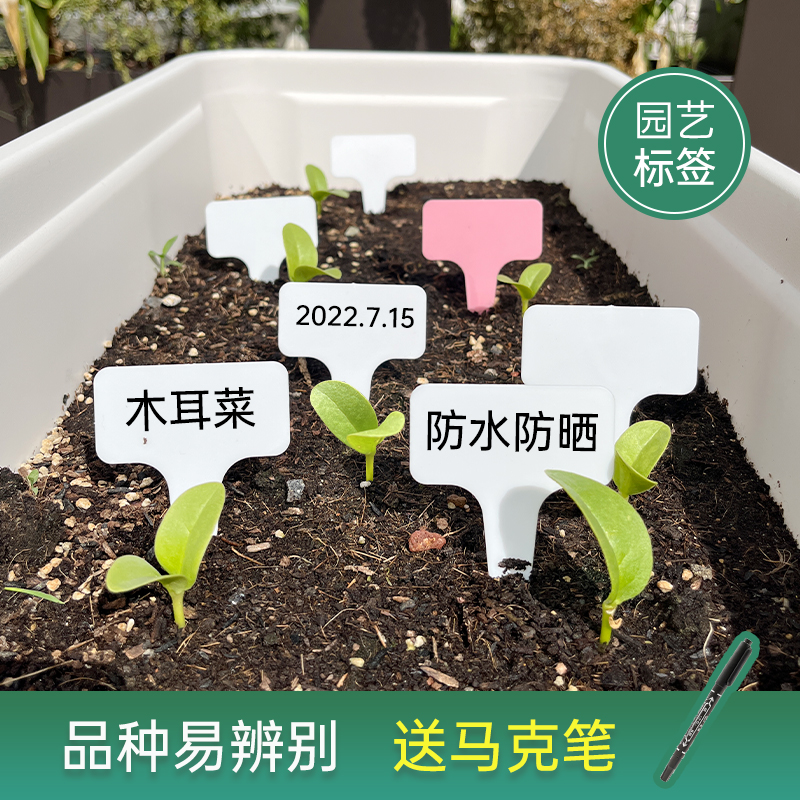 花植爱园艺标签植物花卉标识牌