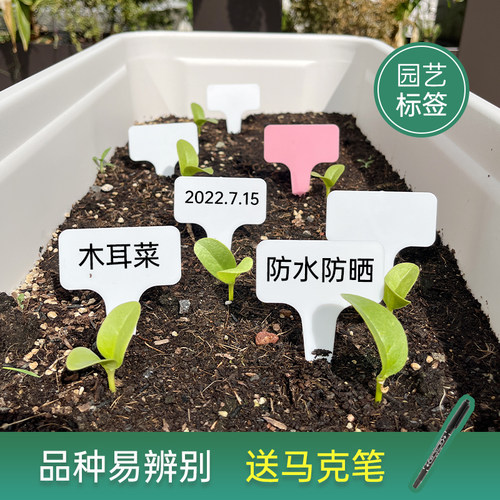 花植爱园艺标签植物花卉标识牌