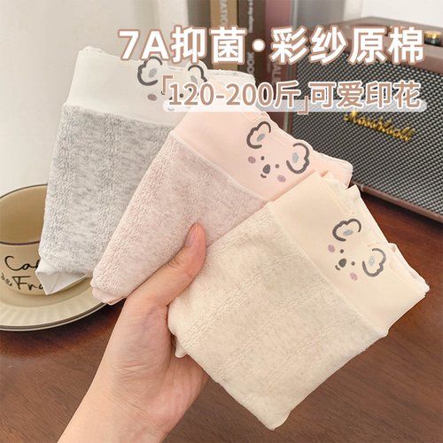 小考拉印花彩纱棉质大码内裤