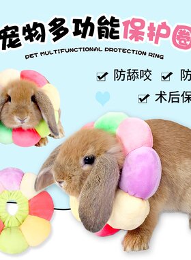 2026新款宠物兔专用太阳花防舔防咬伊丽莎白项圈围脖龙猫脖套装饰