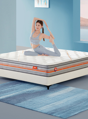 天禧派乳胶床垫分区弹簧抗菌防螨易清洁顾家床垫卧室冠军之选8069