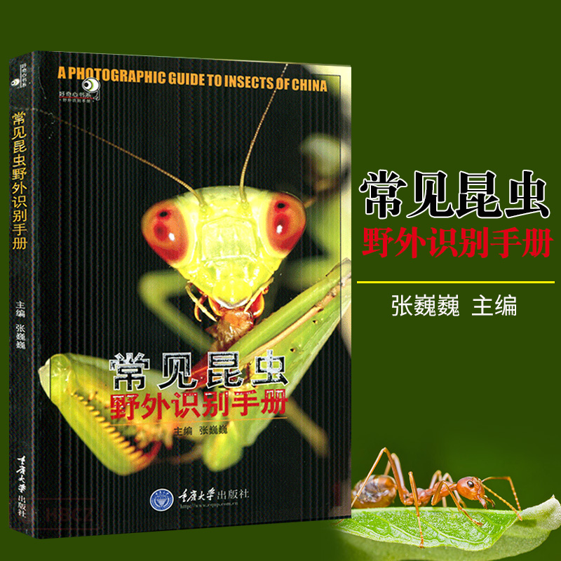 好奇心书系 常见昆虫野外识别手册 昆虫爱好者和从事林业和检疫相关