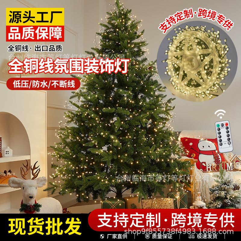 灯串室外庭院装饰灯圣诞彩灯LED