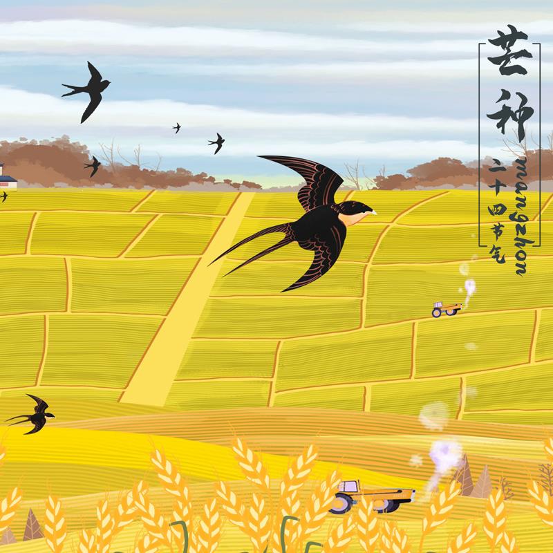 [自动发货]钱块钱毛01元