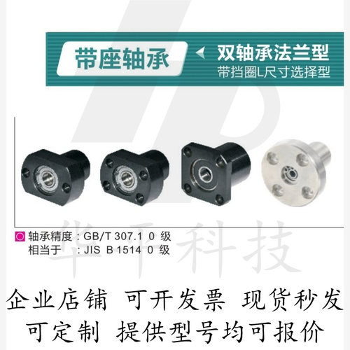 双轴承带座轴承BFP31/32/36