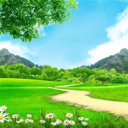 fj0801环保无缝n靠山好寓意电视春天风景k大树花草地远山白鸽背景