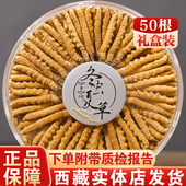 正品 新鲜野生虫草干货非西藏特产那曲冬虫夏草礼盒装 东虫夏草泡酒