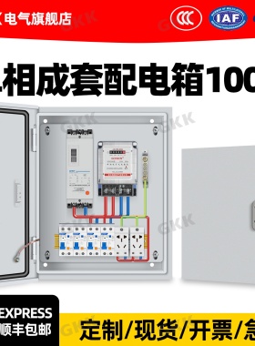 低压成套配电箱220V带计量电表控制箱100A明装挂墙单相强电箱380V