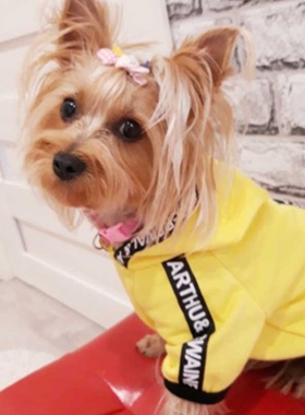 速发FashioiDog oh Sprig Pets Dogs ots g  a d