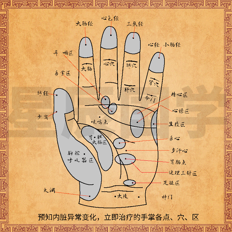 中医养生挂画客厅装饰画国学无框画穴位保健图解周易经络手诊挂图