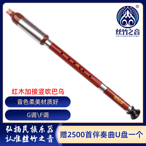 巴乌小学生成人入门竖吹红木专业