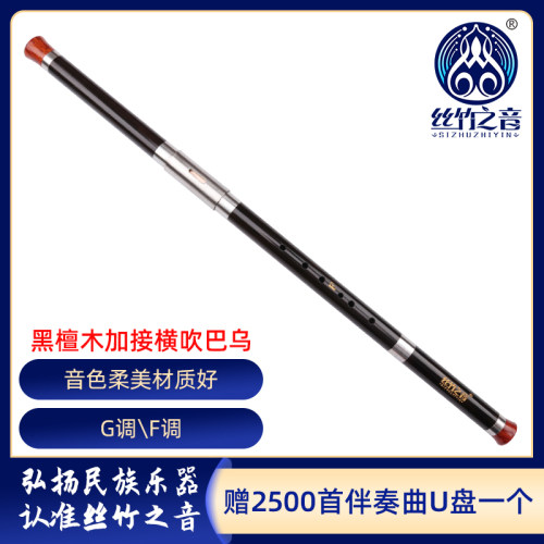 巴乌横吹儿童初学入门黑檀木成人