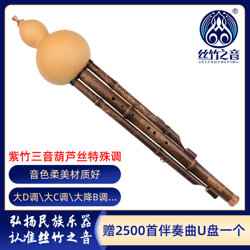 小学生紫竹葫芦丝丝竹之音