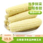 4斤装 整箱偏嫩老人小孩云南小花糯玉米代新鲜现摘真空白条