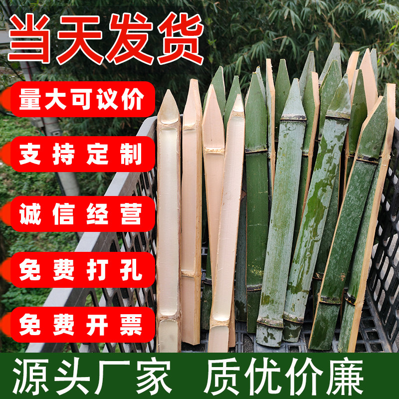 包工头都在用的竹片桩选5年老竹图片