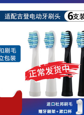 丹龙吉登jideng哈士电动牙刷头