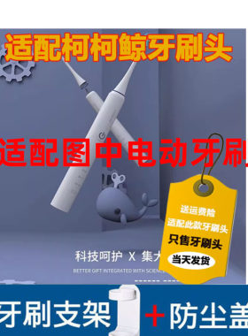通用型电动牙刷头软毛