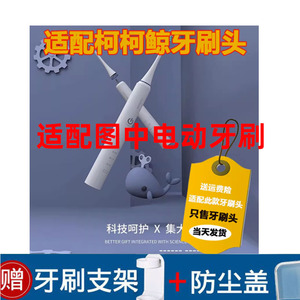 通用型电动牙刷头软毛