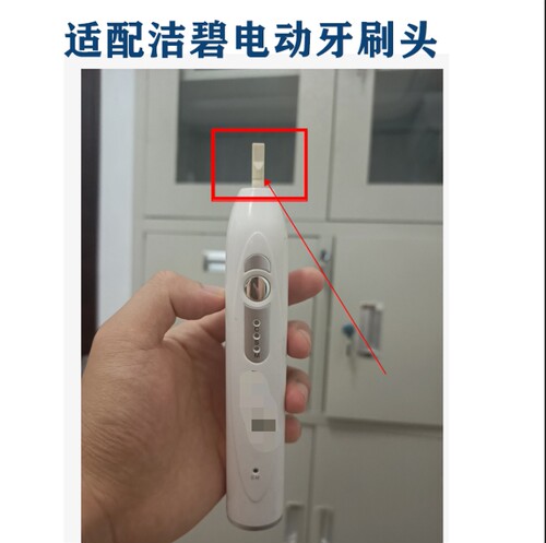 通用洁碧waterpik电动牙刷头