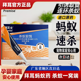 拜耳拜灭士蚂蚁药蟑螂药德国杀蚁胶饵室内家用一窝全端除灭红黄蚁