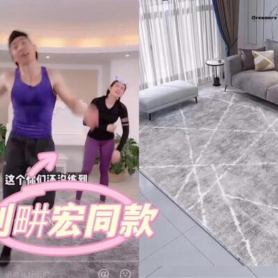 刘畊宏同款地垫轻奢简约款几何地