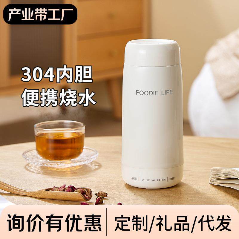 电热杯小型烧水壶便携式旅行携带电加热水杯保温一体迷你养厂家