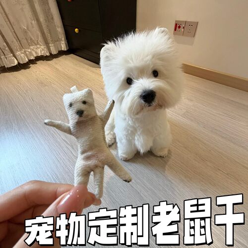 来图定制宠物乳鼠干可摆造型
