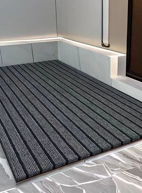 入户门地垫进门垫防滑脚垫门外耐脏免洗可擦玄关可裁剪门口高级感