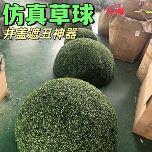 遮挡绿植球井盖草球仿真绿植装饰品空心大球中庭米兰草球遮丑草球