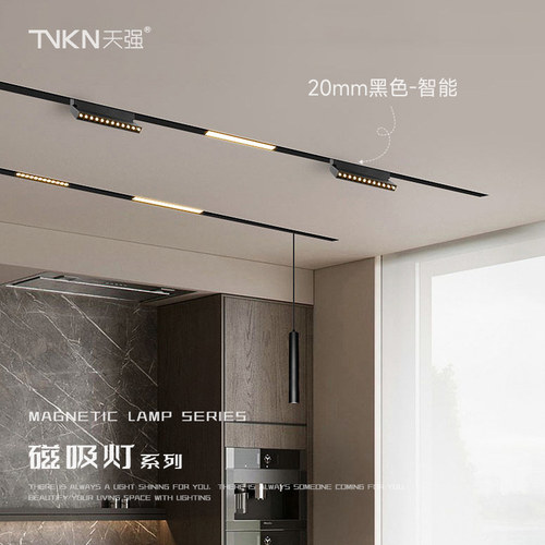 智能磁吸轨道灯格栅灯嵌入式明装天猫精灵涂鸦调光调色导轨射灯