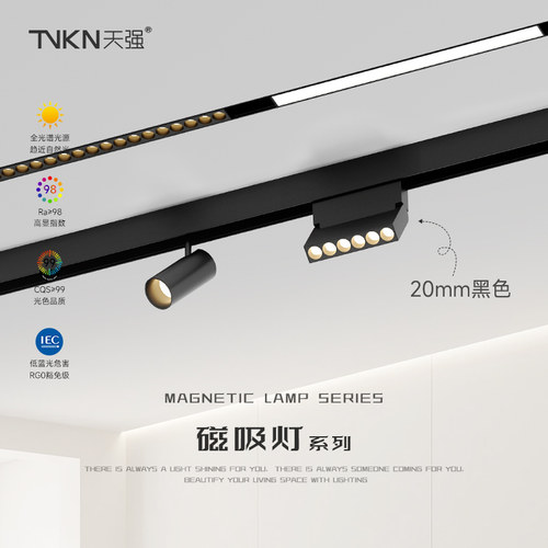 嵌入式磁吸轨道灯 安装预埋款 无主灯照明