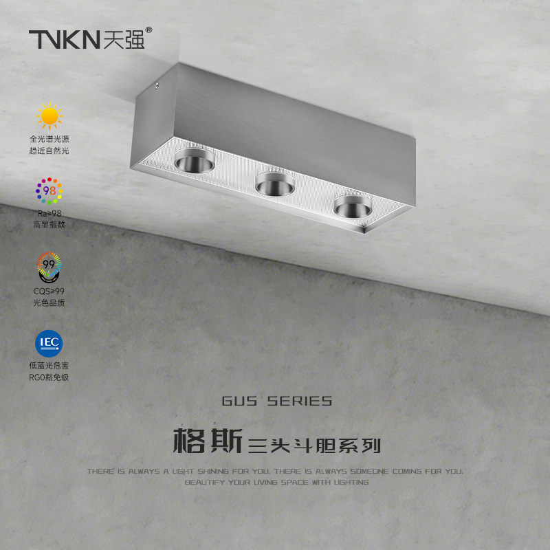 长形三头明装筒灯无主灯客厅照明吸顶灯斗胆灯不锈钢色包豪斯射灯