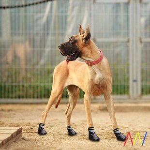 Pets Waterproof Nonslip Dog Cats Socks Boots Shoes Pet Dogs