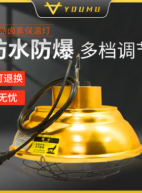 养殖温度可调育雏加热仔猪卤素灯