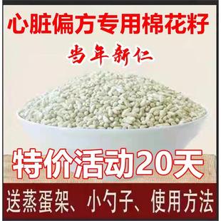 食用棉花籽去壳棉仁棉花籽心脏棉花籽仁去皮新鲜棉花籽山东棉花籽