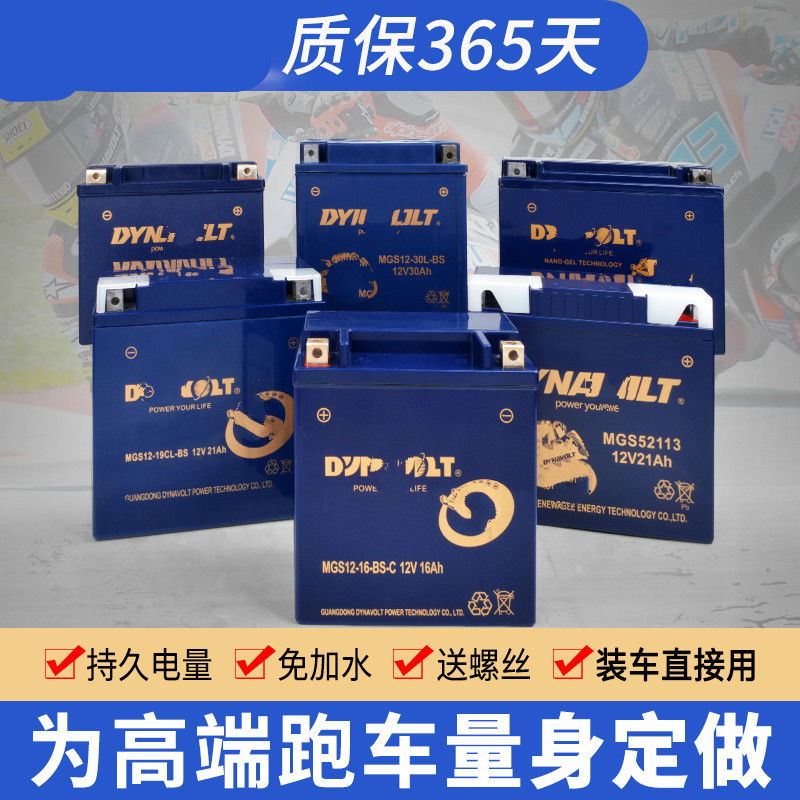 猛狮摩托车电瓶适用哈雷883宝马1200RT/12V12A/14A/20A大排量电池