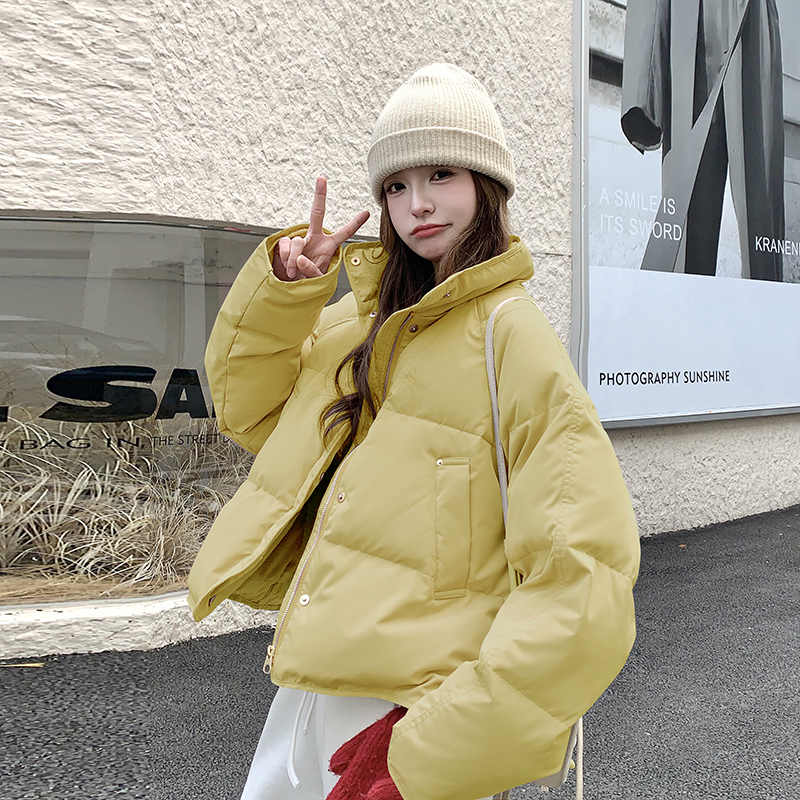 【大量现货】【主推款】短款羽绒服女冬季小个子B100-P240-K358,女装羽绒服,浙宝176(原073) 【大量现货】【主推款】短款羽绒服女冬季小个子B100-P240-K358,女装羽绒服,浙宝176(原073)