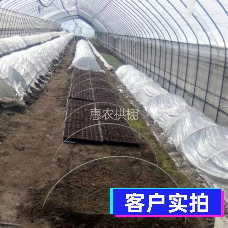2021小拱棚支架大菜农棚花棚保温棚简易大棚99骨架玻璃纤维杆蔬用